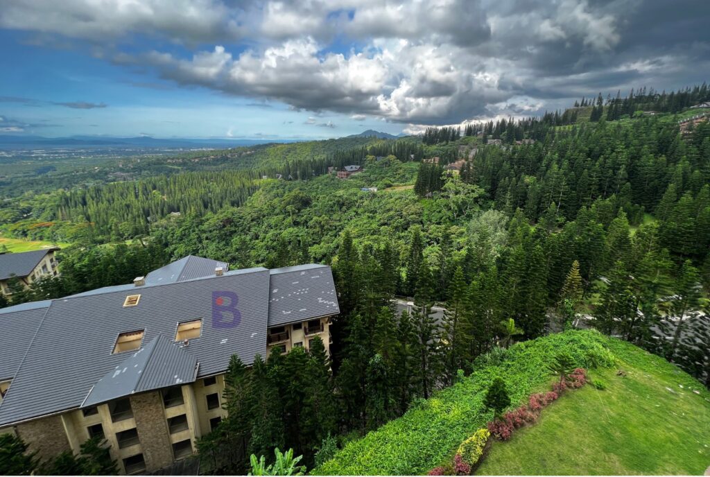 For Sale 1BR Linden Tower Woodridge Tagaytay Highlands (4)