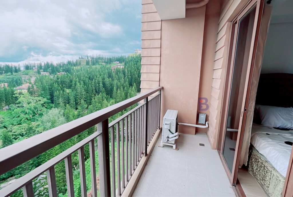 For Sale 1BR Linden Tower Woodridge Tagaytay Highlands (7)