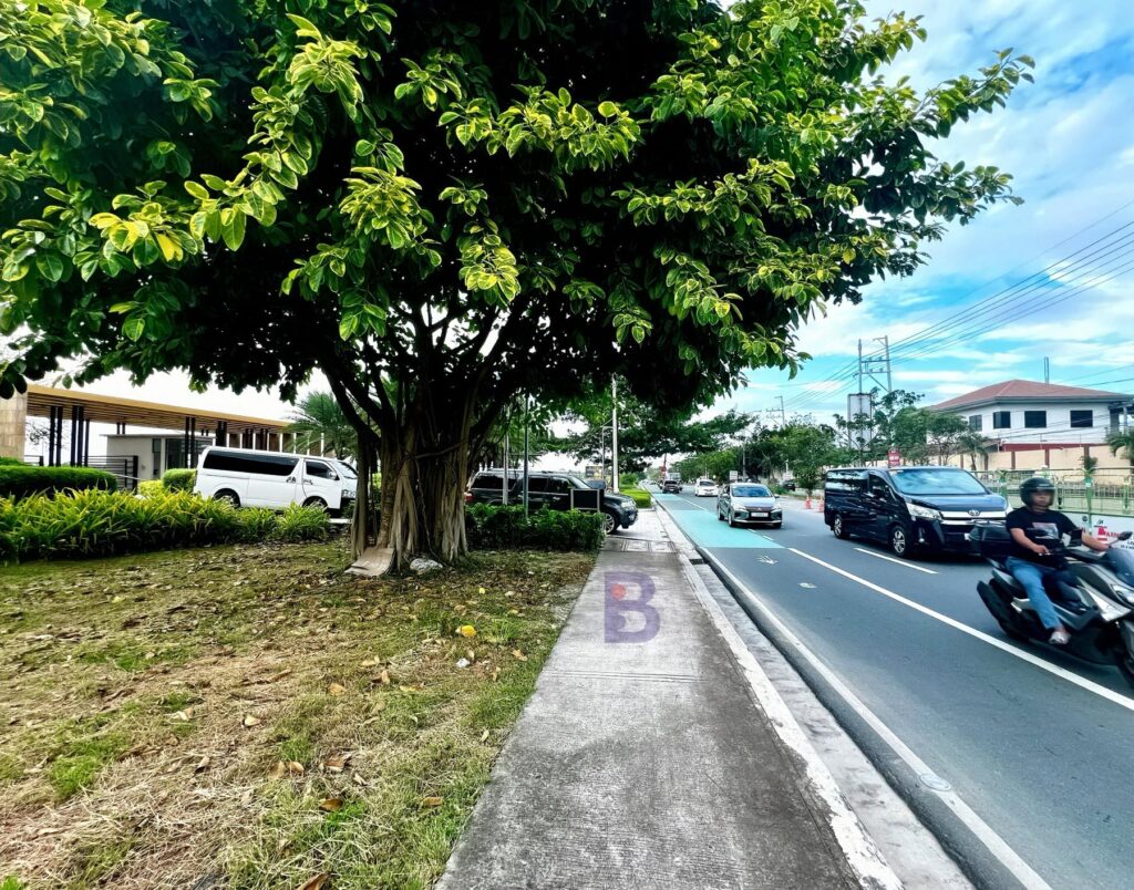 For Sale Commercial Lot at Daang Hari Las Pinas City (4)