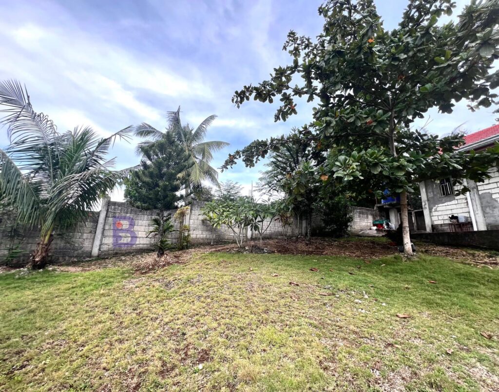 House and Lot For Sale in Upper Songculan Dauis-Panglao Island Bohol (1)